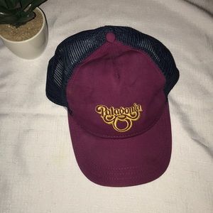 Patagonia Layback Trucker Hat